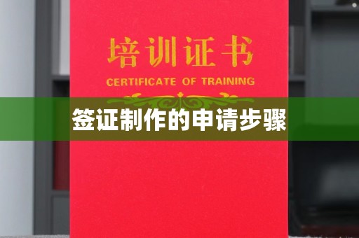 通榆签证制作的申请步骤